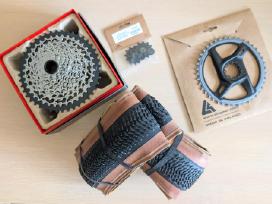 Sram dalys