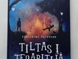Nauja knyga "Tiltas j Terabitiją".