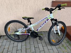 Scott 24