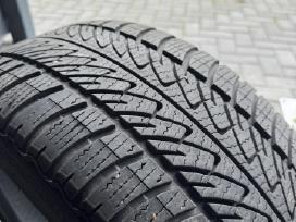 Goodyear Ultragrip M/s padangos