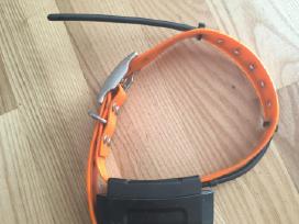 Garmin dc40 antkaklis