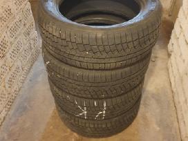 Zeetex Wh1000, žieminės 205/55 R16
