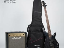 Marshall stiprintuvas su bosine gitara