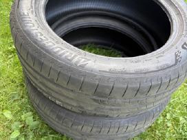 Ev padangos 215/55 R18 95t