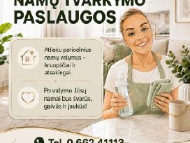 Periodinis butų, namų, ofisų valymas