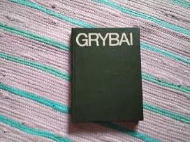 Grybai V Urbonas