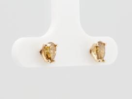 Aukso auskarai su briliantais (0,67ct)