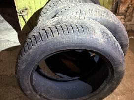 Padangos Nexen Winguard Sport 2 (245/50/r18)