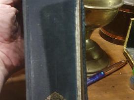 „The Concise Oxford Dictionary“ (6-asis leidimas)