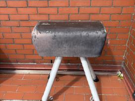 Gimnastikos ožys