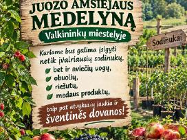 Amšiejaus Juozo vaismedžių, vaiskrūmių medelynas