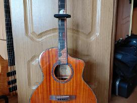 Nauja elektroakustine gitara