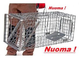 Spąstai katėms gyvagaudžiai laukiniams gyvūnams