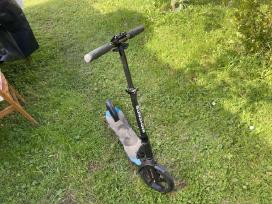 Paprastas paspirtukas