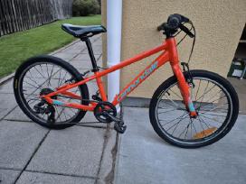 Vaikiškas Dviratis Cannondale Kids Quick 20