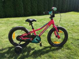 Specialized dviratukas