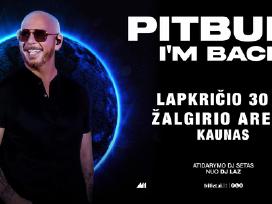 Parduodu bilietus į Pitbull 11.30, stovimi