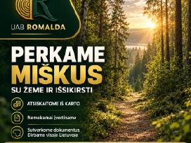 Perku miška