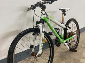 Scott Junior 24 dviratis