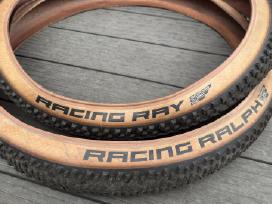 Schwalbe Racing MTB 2.35 padangos