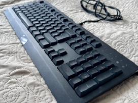 Razer Cynosa Lite