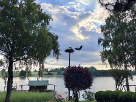 Sodybos Nuoma Su Pokylių Sale, Pirtimi Ir Kubilu