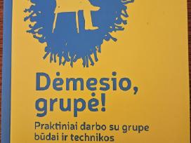 Knyga apie darbo su grupe būdus