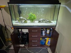 Akvariumas