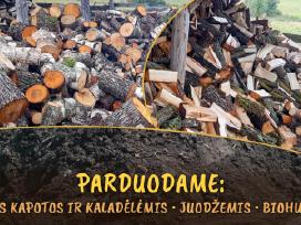 Malkos kapotos ir kaladėlėmis. Beržas, juodalksnis