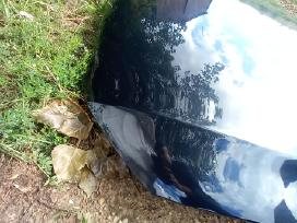 Audi Q5 2009 variklio dangtis
