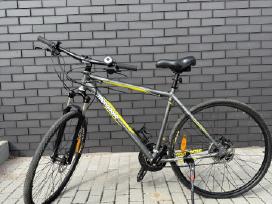 Dviratis Mongoose ‘28