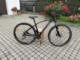 Specialized MTB kalnu dviratis