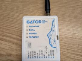 Trikdis gator