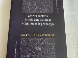 Svirkų šnektos fonologinė sistema
