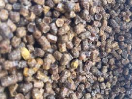 Bičių duonelė 1 kg kaina. Parduodama urmu.