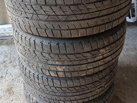 Žieminės padangos Ns805 205/55 R16