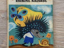 Laukinė kriaušė Justinas Marcinkevičius knyga