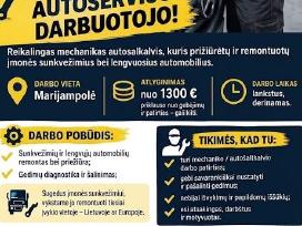 Ieškomas Mechanikas-autošaltkalvis