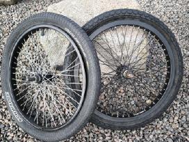 BMX.20 Col. Ratai