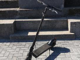 Neoline T23