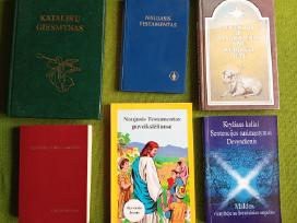 Naujasis testamentas , Vaikams.