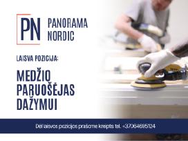Medžio paruošėjas dažymui