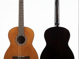 Klasikinė gitara