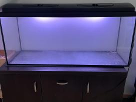 Akvariumas 240l talpos