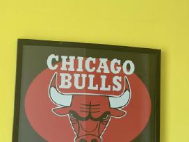 Chicago Bulls Paveikslas 40x50cm