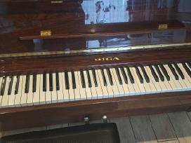 Pianinas Riga