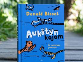 Nauja Knyga "Aukštyn Kojom"