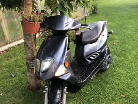 Pgo T-rex 50cc ac