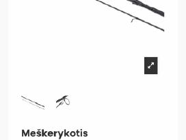 Karpines meskeres su ritem