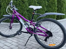 Lengvas vaikiškas dviratis Classic Team 24 Alu.